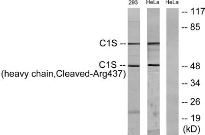 意大利贵宾会-贵宾会官方网站入口