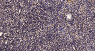 意大利贵宾会-贵宾会官方网站入口