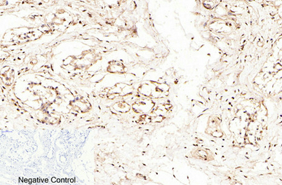 意大利贵宾会-贵宾会官方网站入口