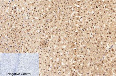 意大利贵宾会-贵宾会官方网站入口