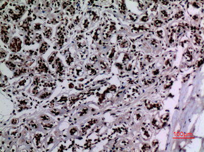 意大利贵宾会-贵宾会官方网站入口