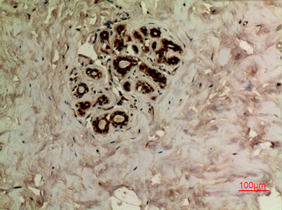 意大利贵宾会-贵宾会官方网站入口