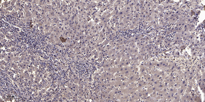 意大利贵宾会-贵宾会官方网站入口