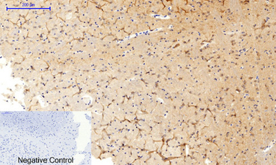 意大利贵宾会-贵宾会官方网站入口
