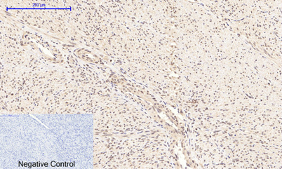 意大利贵宾会-贵宾会官方网站入口