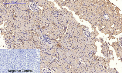 意大利贵宾会-贵宾会官方网站入口