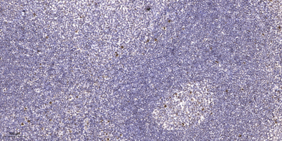 意大利贵宾会-贵宾会官方网站入口