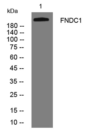 意大利贵宾会-贵宾会官方网站入口