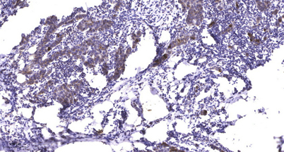 意大利贵宾会-贵宾会官方网站入口