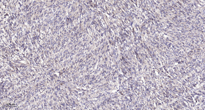 意大利贵宾会-贵宾会官方网站入口