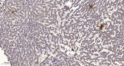 意大利贵宾会-贵宾会官方网站入口