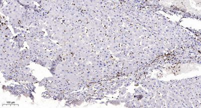 意大利贵宾会-贵宾会官方网站入口