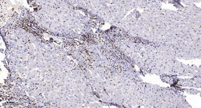 意大利贵宾会-贵宾会官方网站入口
