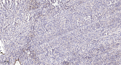 意大利贵宾会-贵宾会官方网站入口