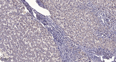 意大利贵宾会-贵宾会官方网站入口