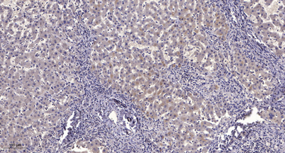 意大利贵宾会-贵宾会官方网站入口