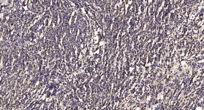 意大利贵宾会-贵宾会官方网站入口