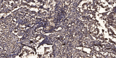 意大利贵宾会-贵宾会官方网站入口