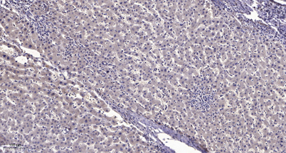 意大利贵宾会-贵宾会官方网站入口