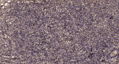 意大利贵宾会-贵宾会官方网站入口