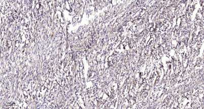 意大利贵宾会-贵宾会官方网站入口