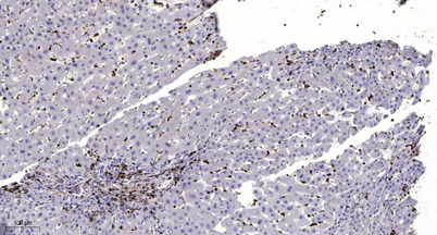 意大利贵宾会-贵宾会官方网站入口