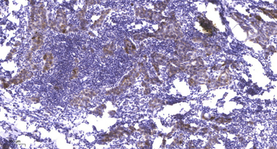 意大利贵宾会-贵宾会官方网站入口