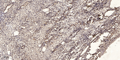 意大利贵宾会-贵宾会官方网站入口