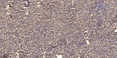 意大利贵宾会-贵宾会官方网站入口