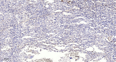 意大利贵宾会-贵宾会官方网站入口