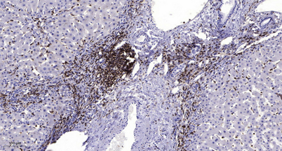 意大利贵宾会-贵宾会官方网站入口