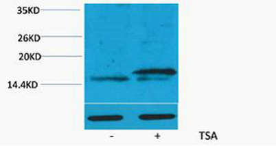 意大利贵宾会-贵宾会官方网站入口
