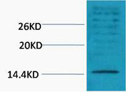 意大利贵宾会-贵宾会官方网站入口