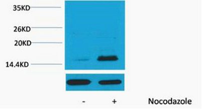 意大利贵宾会-贵宾会官方网站入口