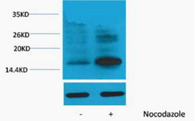 意大利贵宾会-贵宾会官方网站入口