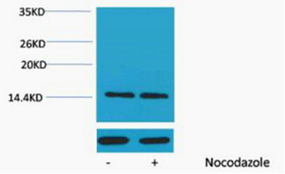 意大利贵宾会-贵宾会官方网站入口