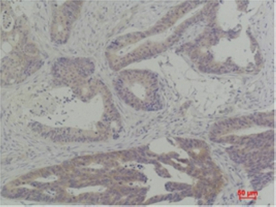 意大利贵宾会-贵宾会官方网站入口