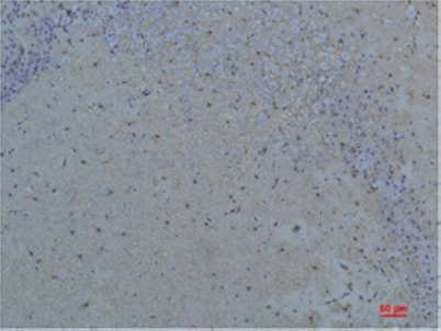 意大利贵宾会-贵宾会官方网站入口