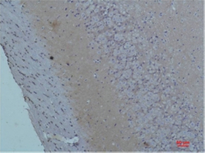 意大利贵宾会-贵宾会官方网站入口