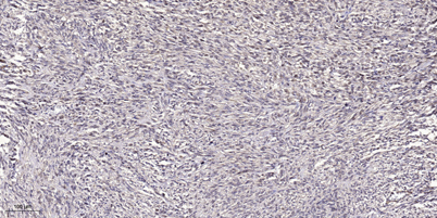 意大利贵宾会-贵宾会官方网站入口