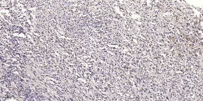 意大利贵宾会-贵宾会官方网站入口