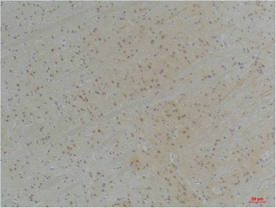 意大利贵宾会-贵宾会官方网站入口