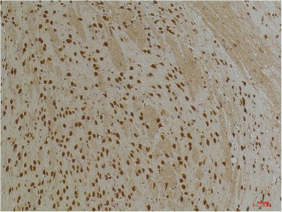 意大利贵宾会-贵宾会官方网站入口