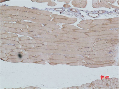 意大利贵宾会-贵宾会官方网站入口