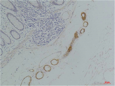 意大利贵宾会-贵宾会官方网站入口