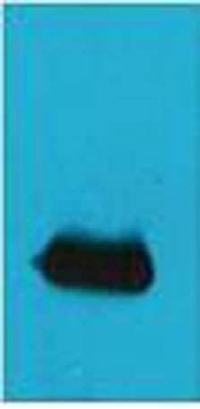 意大利贵宾会-贵宾会官方网站入口