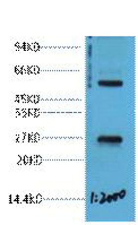 意大利贵宾会-贵宾会官方网站入口