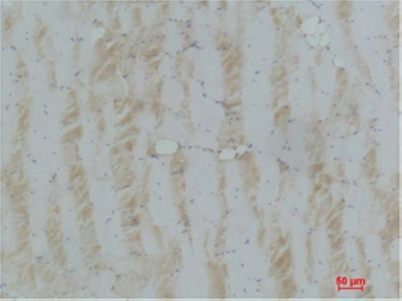 意大利贵宾会-贵宾会官方网站入口