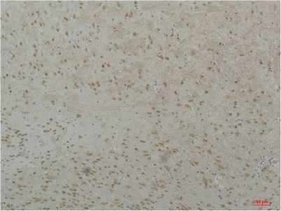 意大利贵宾会-贵宾会官方网站入口