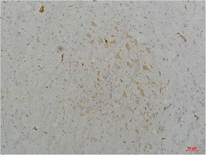 意大利贵宾会-贵宾会官方网站入口